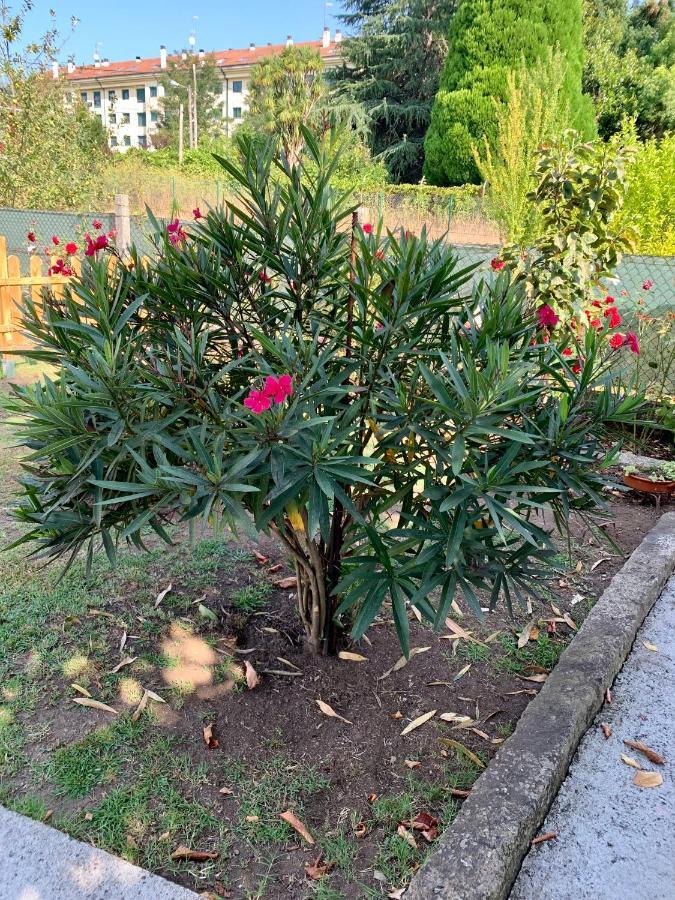 A Casa Vermella Con Jardin A 10 Minutos De Santiago De Compostela Daire Ortono Dış mekan fotoğraf