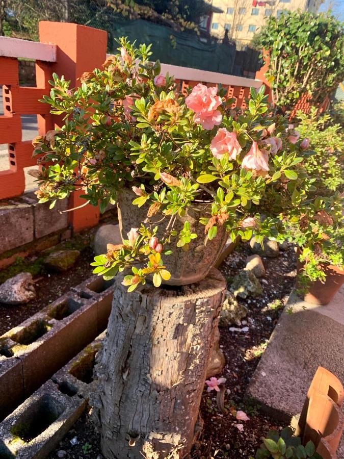 A Casa Vermella Con Jardin A 10 Minutos De Santiago De Compostela Daire Ortono Dış mekan fotoğraf